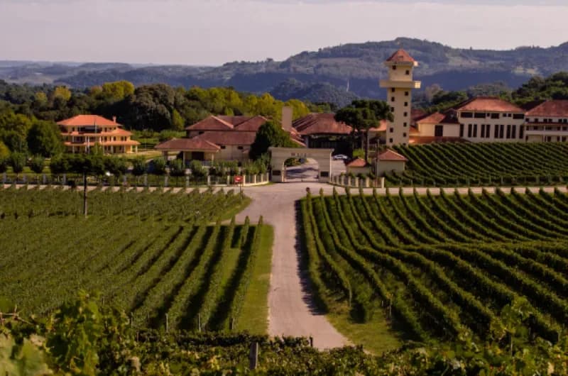 Tour Gran Reserva - Vale dos Vinhedos