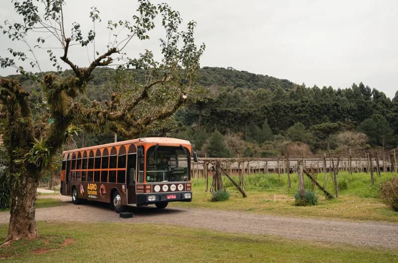 Tour O Quatrilho | Passeio Rural + Almoço Típico