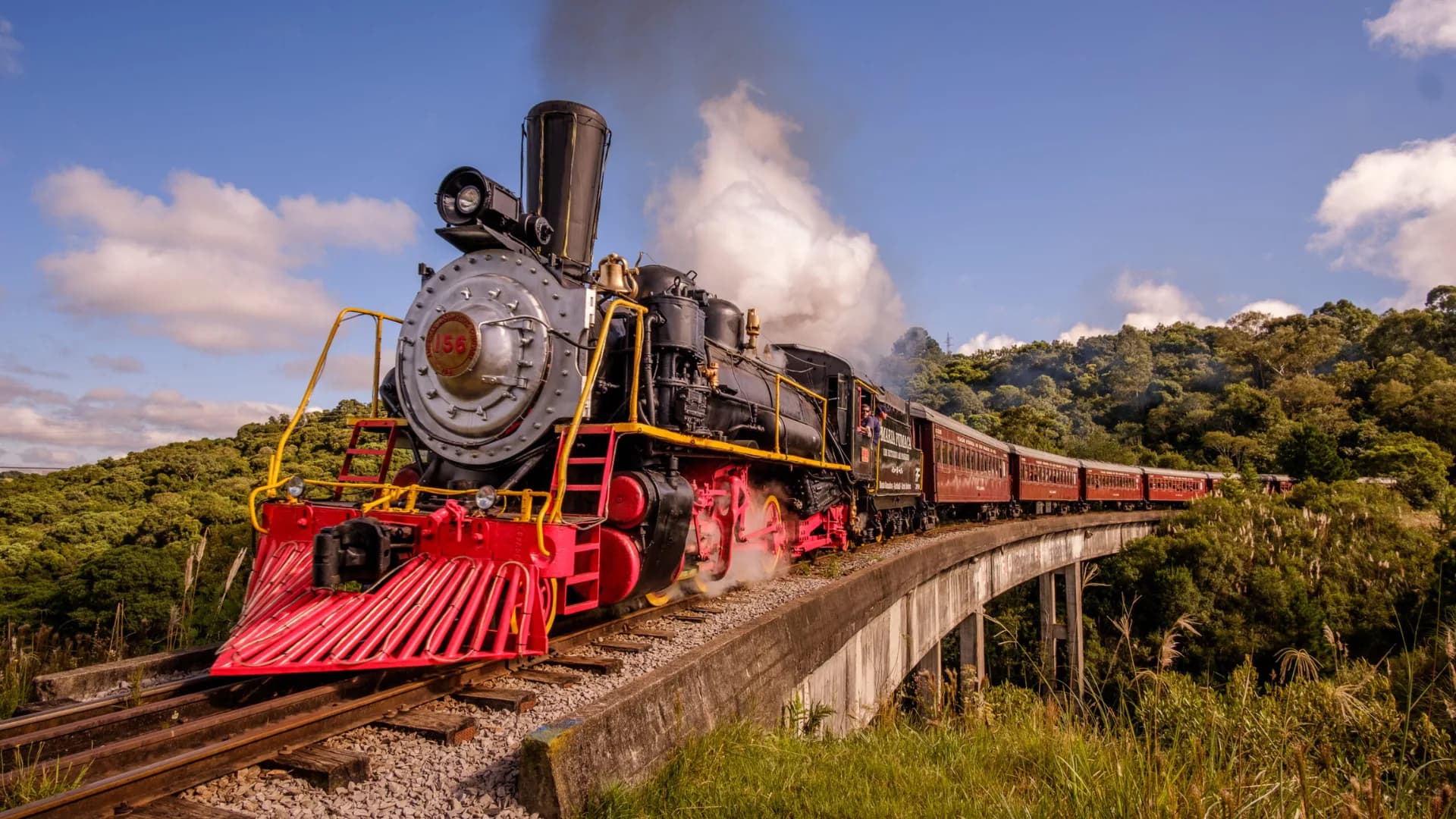 Tour Trem Maria Fumaça + Vale dos Vinhedos Premium