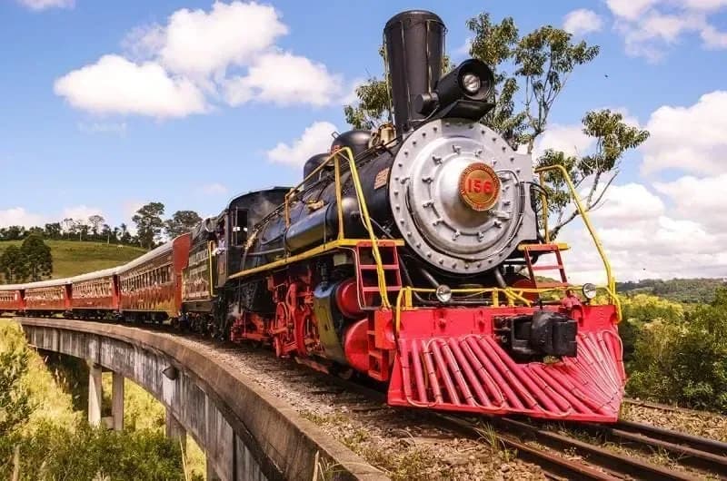 Tour Uva e Vinho + Maria Fumaça + Almoço Premium