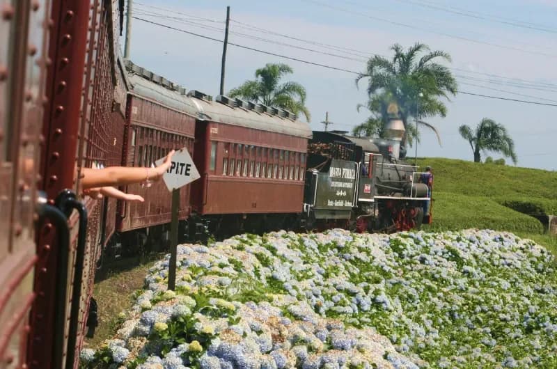Tour Trem e Vinho - Com Trem Maria Fumaça e Epopeia Italiana!